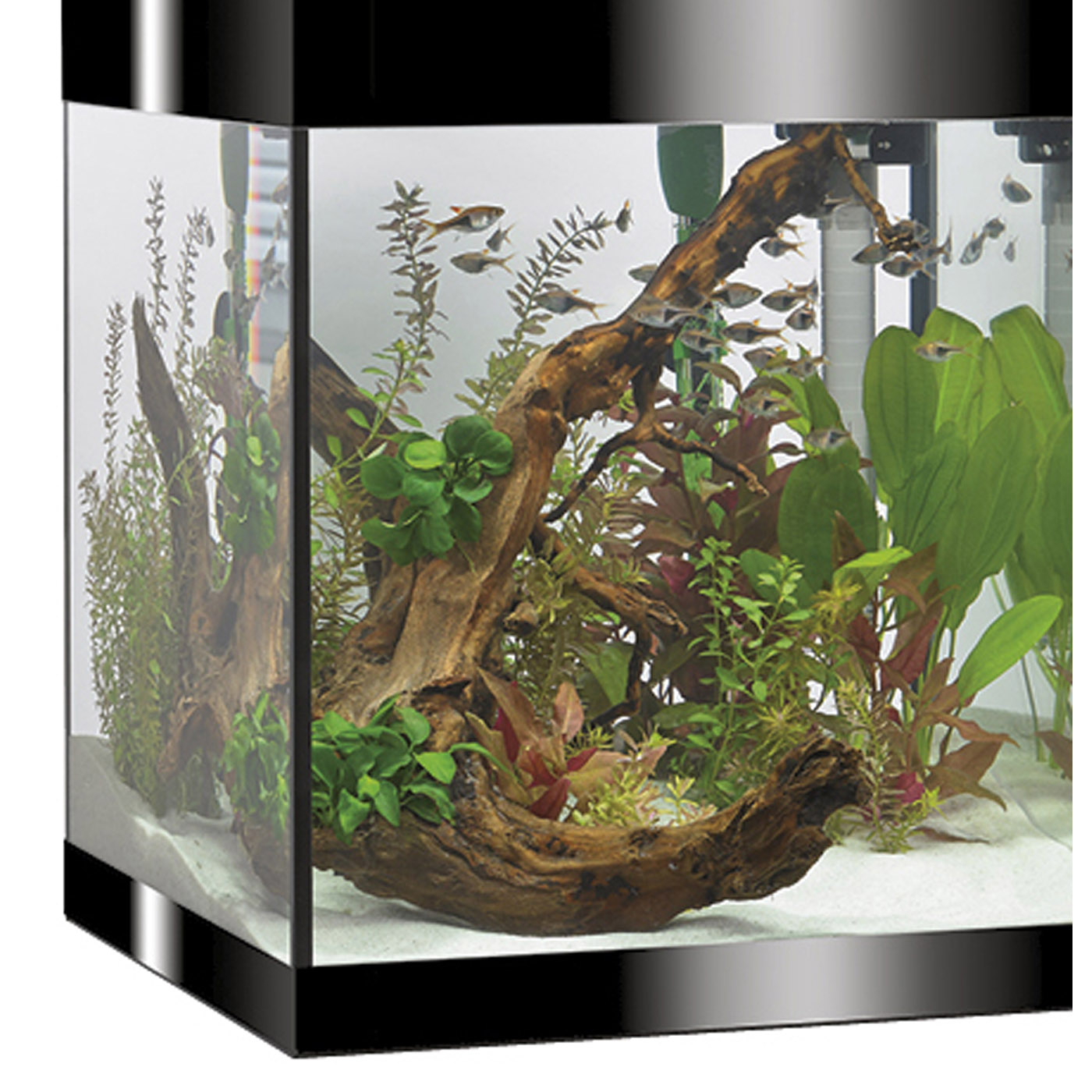 PURE AQUARIUM KIT M ZWART LED