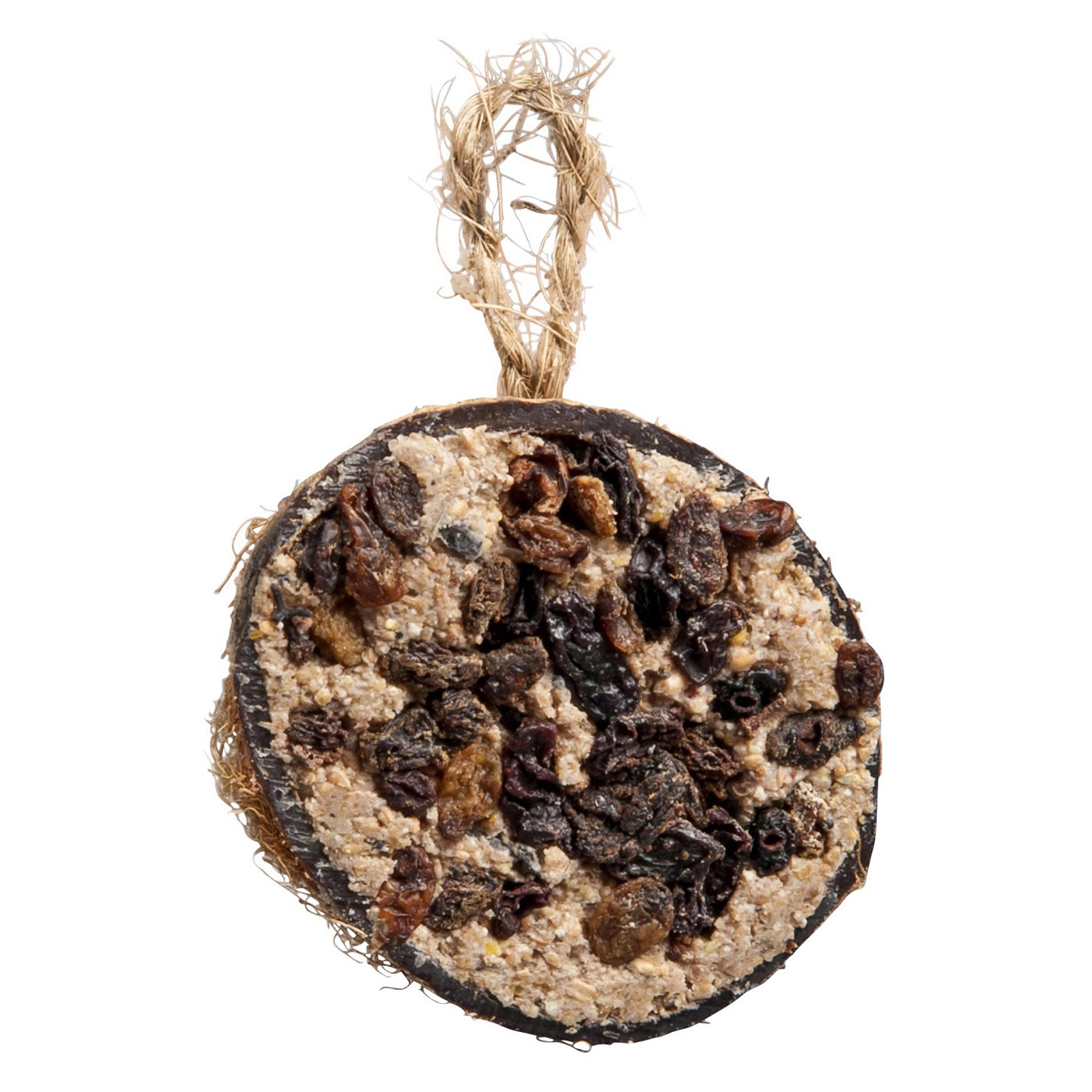 HALF COCONUT WITH RAISINS