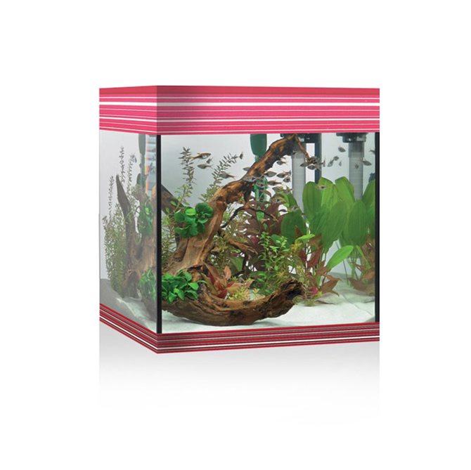 PURE AQUARIUM KIT M BURGUNDY LIGHT