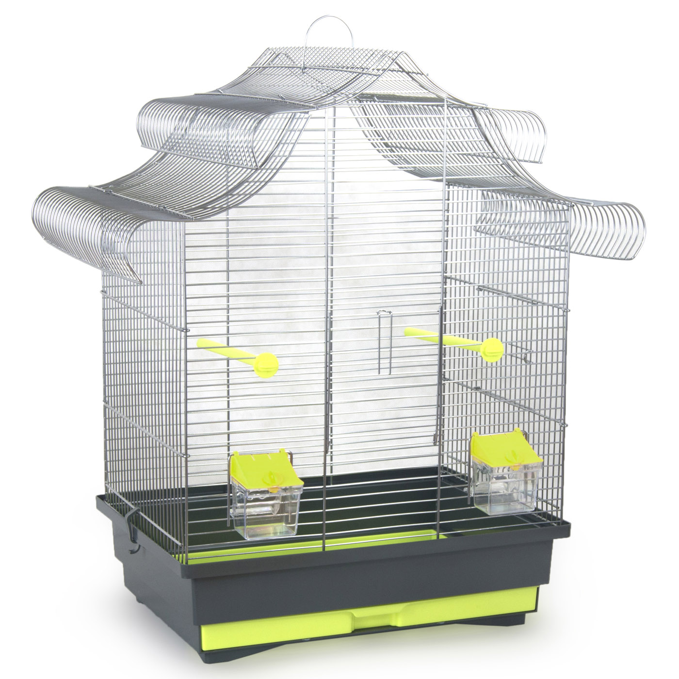 CAGE OISEAU BRUNO CITRON