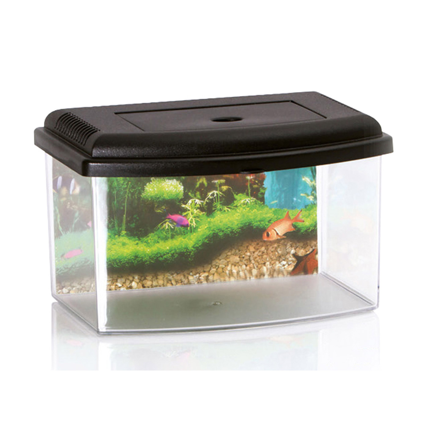 AQUABOX 5.5L MET POSTER