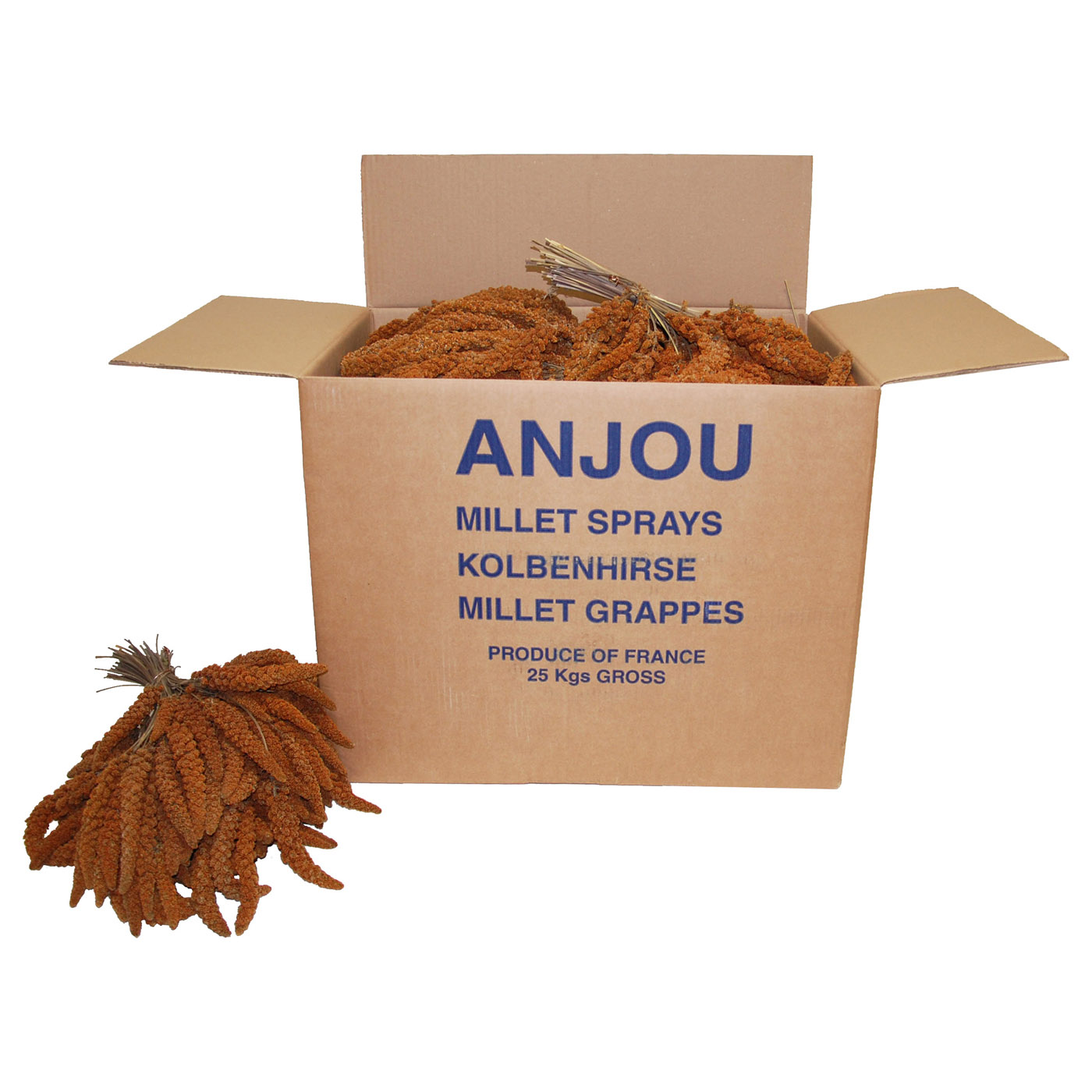 MILLET EN GRAPPES ROUGE 25KG