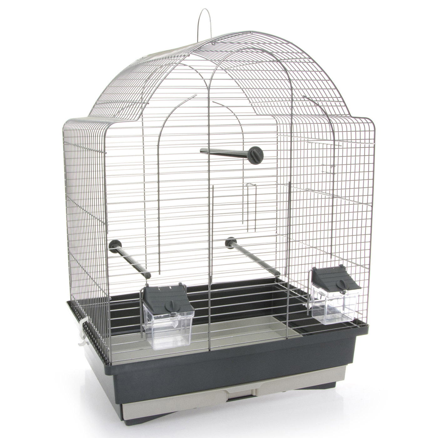 CAGE OISEAU ANTONIO